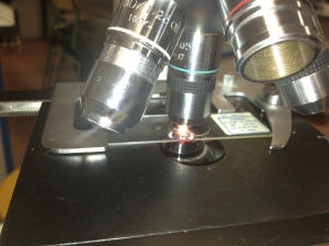 Microscope utilisé